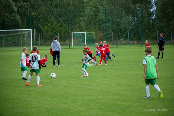 Mecz żaków U9: chłopcy w białych koszulkach z zielonymi pasami i w czerwonych strojach walczą o piłkę na zielonym boisku.