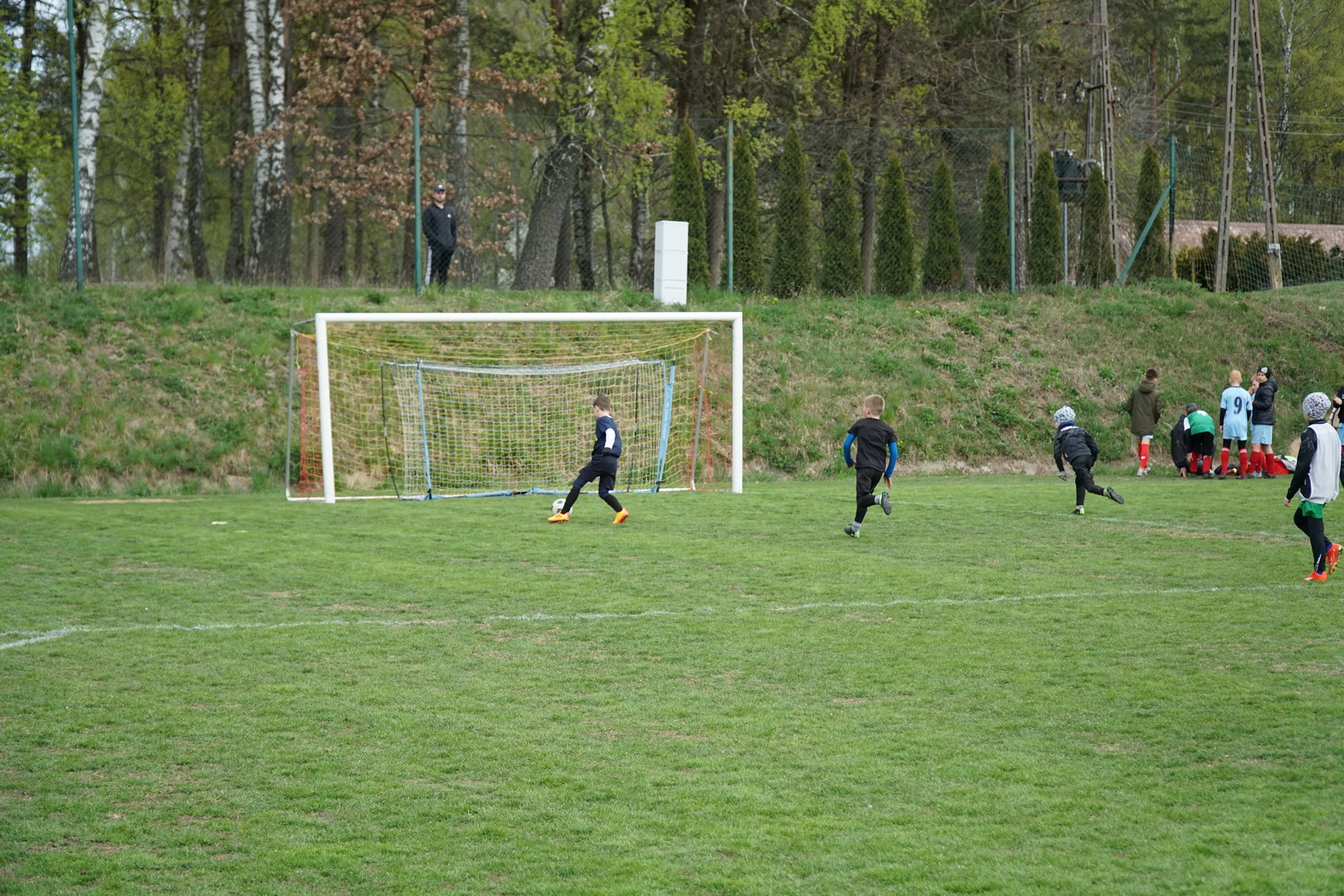 43.jpg