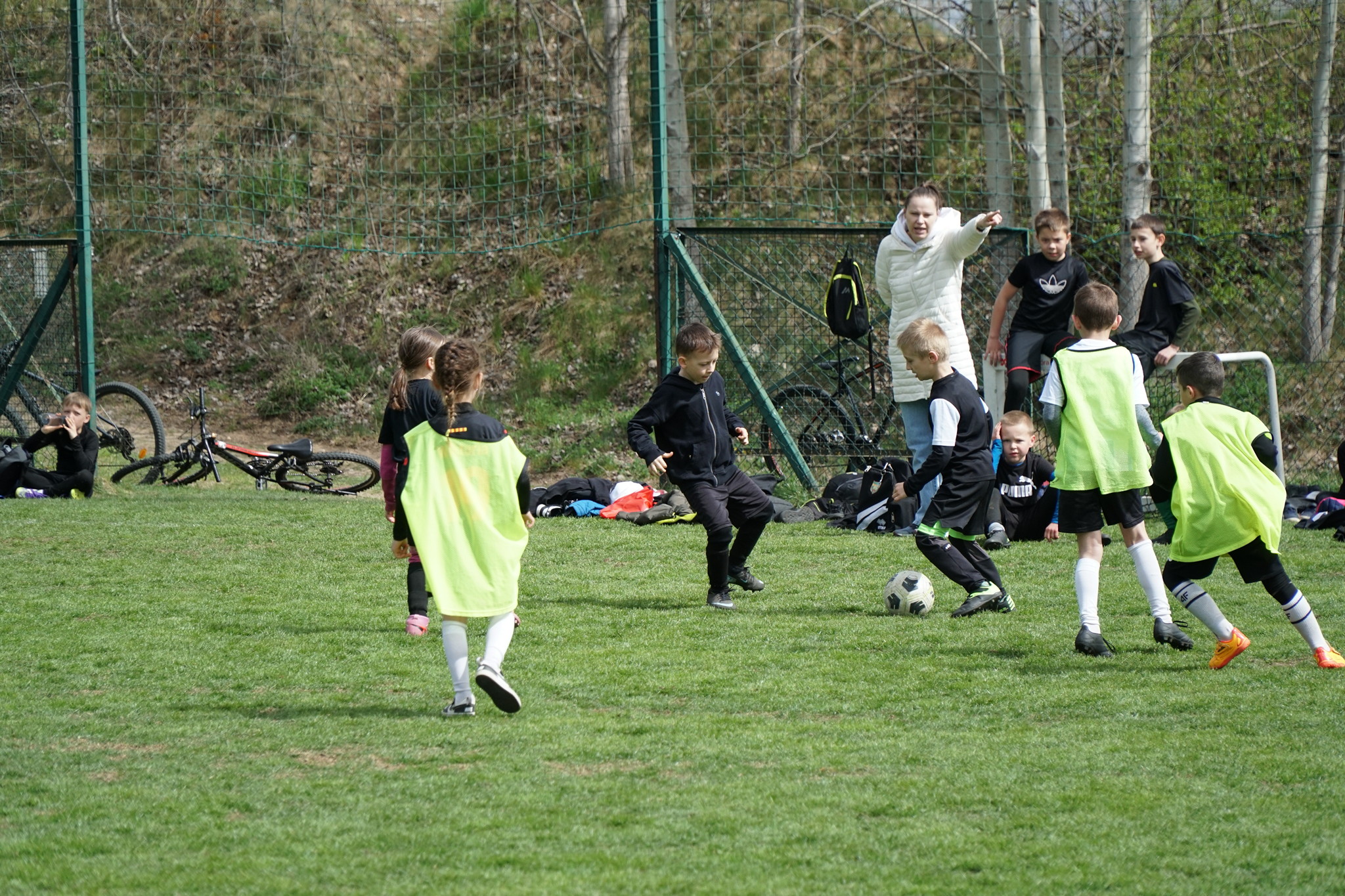 86.jpg
