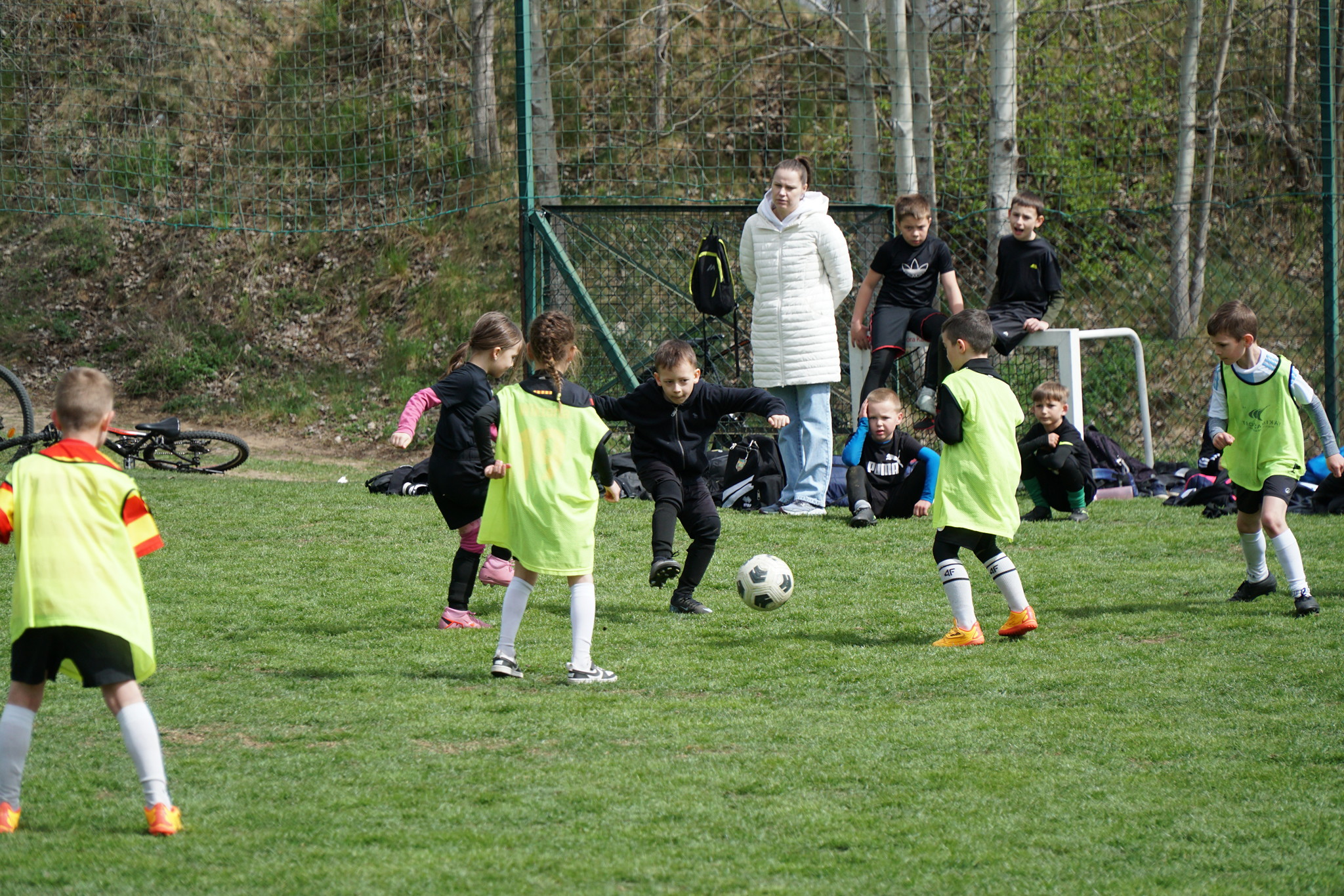 87.jpg